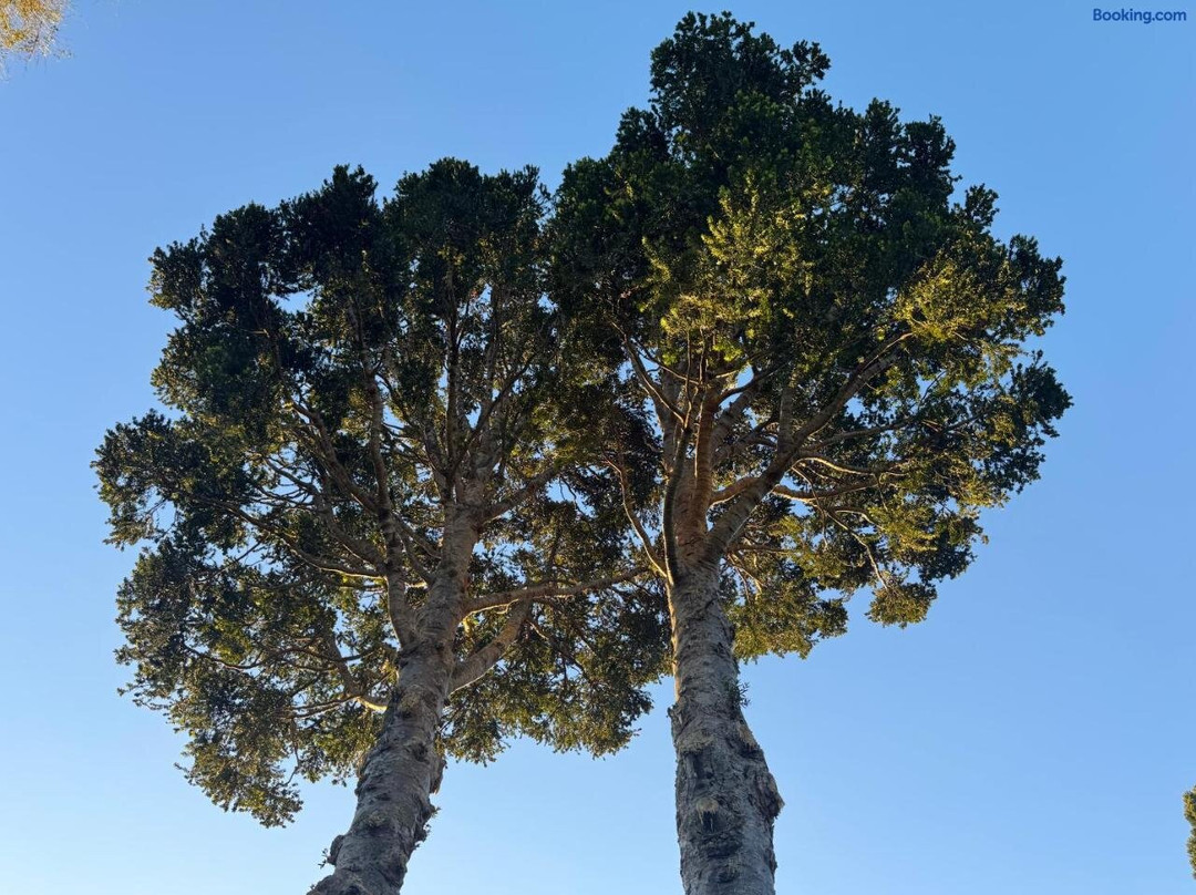 Onetai Estate