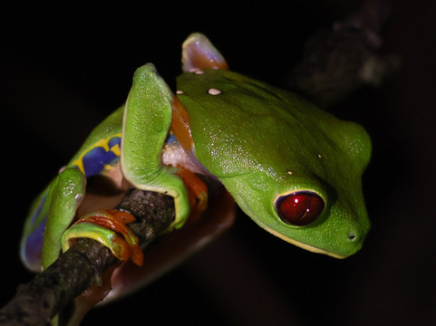 Manuel Tour Guide-卡维塔必去景点