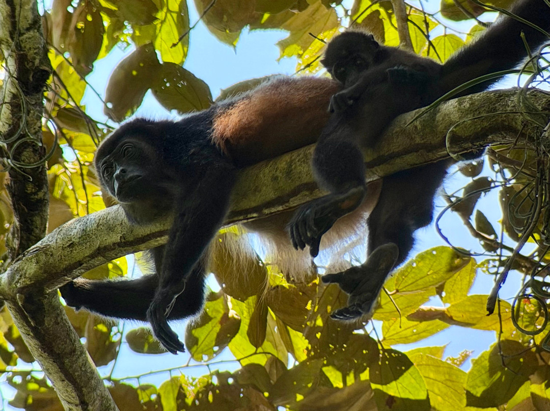 Hotel Jade Mar-Bahia Drake必去景点