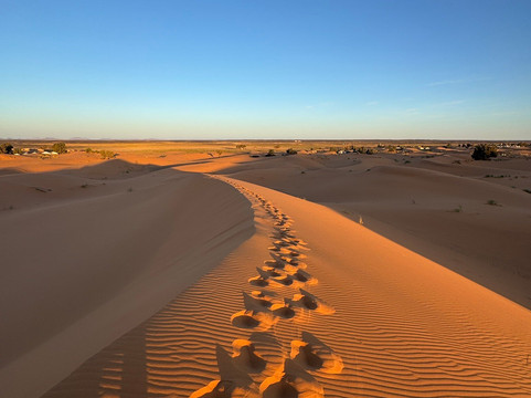 Dades Aventures - Day Tours-瓦尔扎扎特必去景点