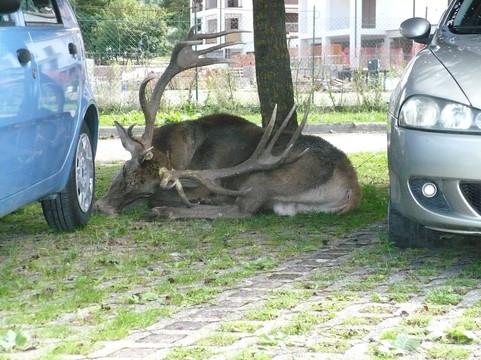 Borgo di Villalago-Villalago必去景点