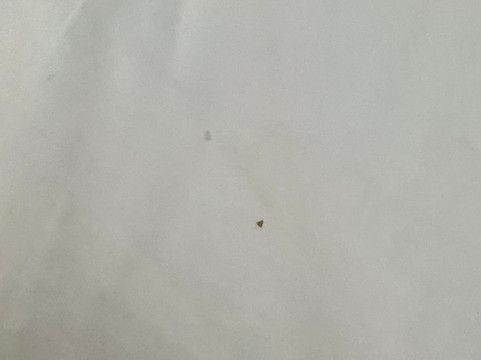 温德姆戴斯酒店 罗阿诺克/霍林斯 靠近I-81主图