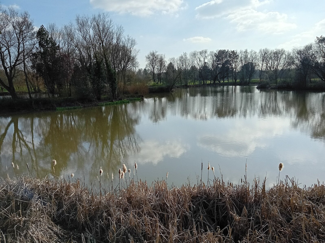 The Vale Golf & Country Club-Bishampton必去景点