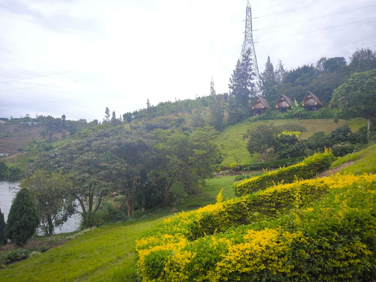里威兹村酒店-官方