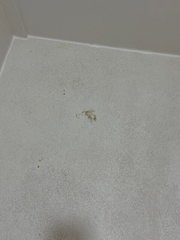 温德姆·贝克利麦客达套房酒店主图