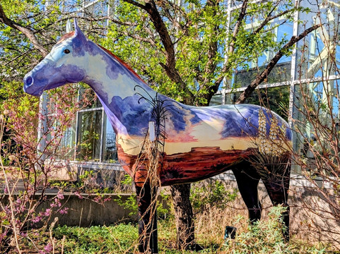 River Bend Nature Center-威奇托福尔斯必去景点