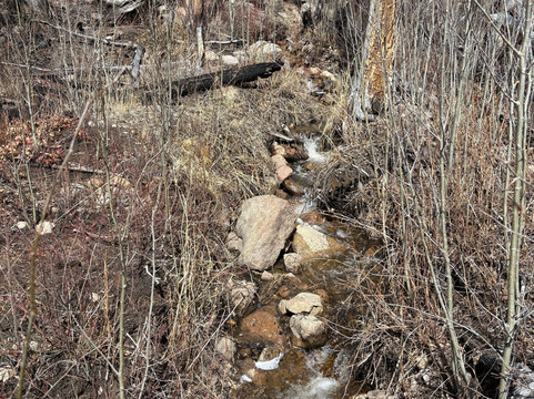 North Inlet Trail-落基山国家公园必去景点