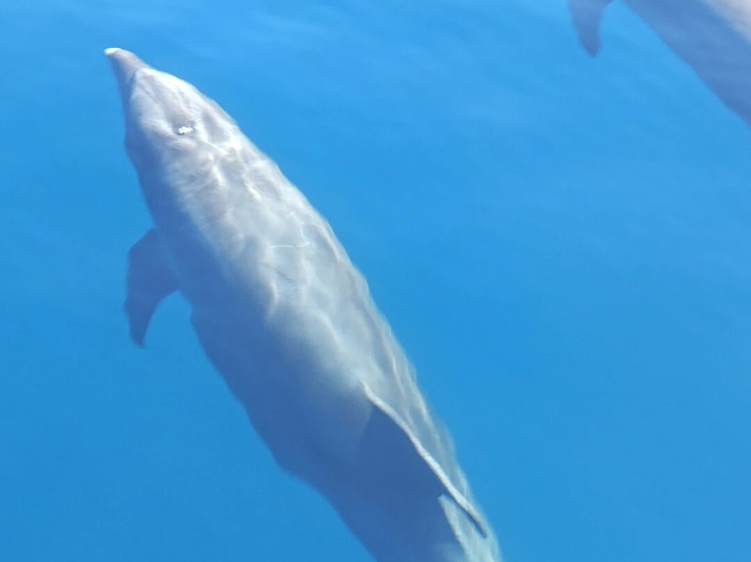 Baja Off Shore-拉巴斯必去景点