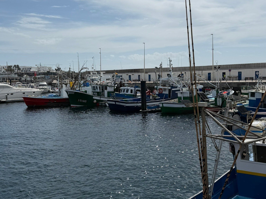 Old Town Harbour-卡门港必去景点