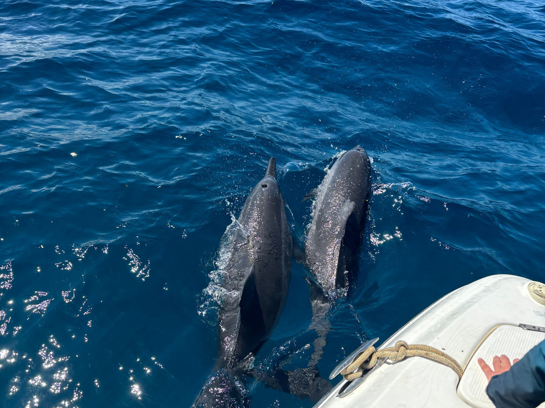 Lifestyle Boating Mauritius-贝尔欧布莱必去景点