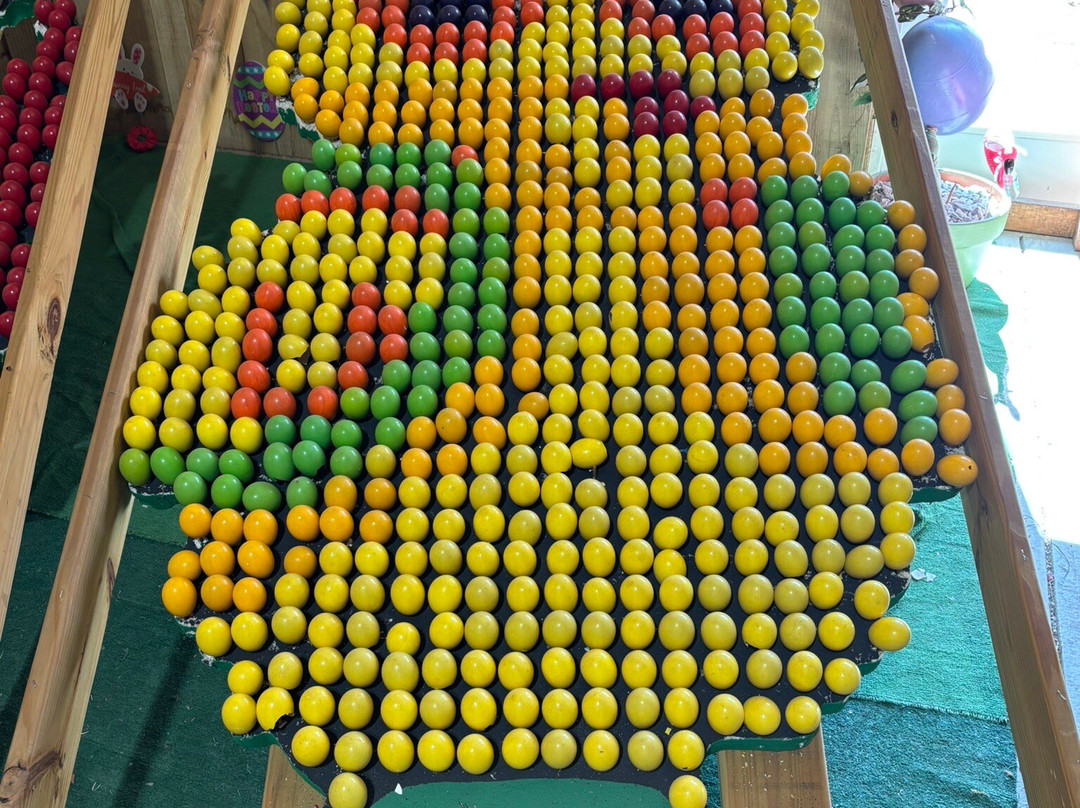 Eddy Fruit Farm-Chesterland必去景点