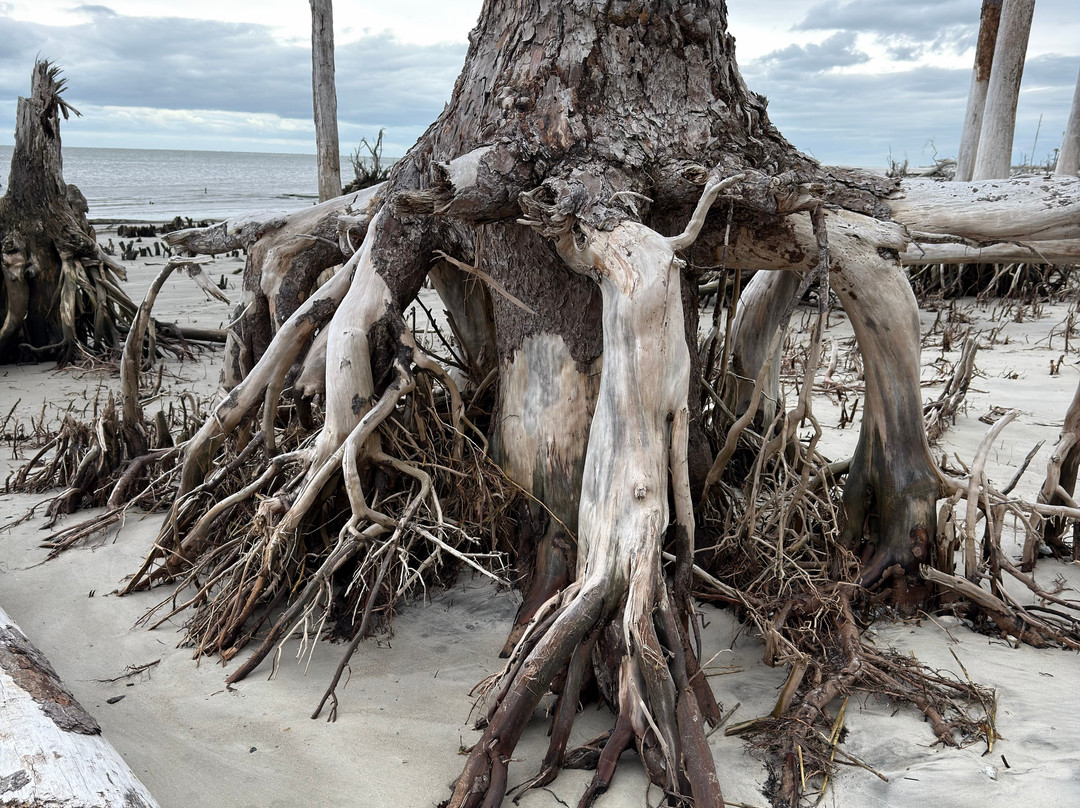 St. Phillips Island Ferry-Saint Helena Island必去景点