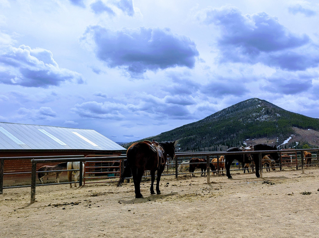 Rocky Mountain Stables-格兰比必去景点