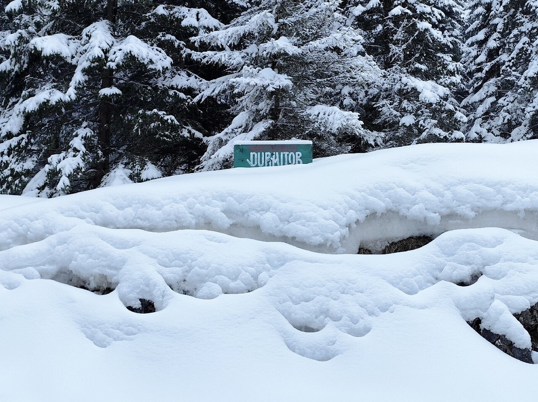 Durmitor National Park Visitor Centre-Zabljak必去景点