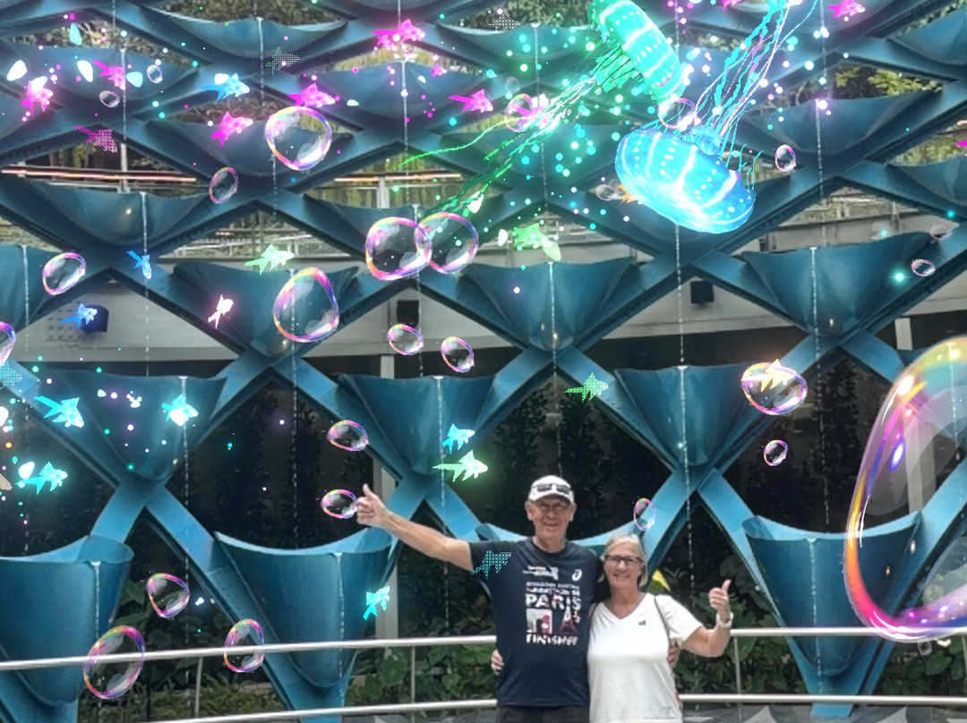 Sentosa SensoryScape-新加坡必去景点