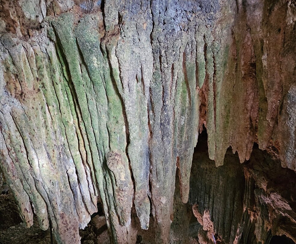 Cenotes Tamcach-Ha & Choo-Ha-Coba必去景点
