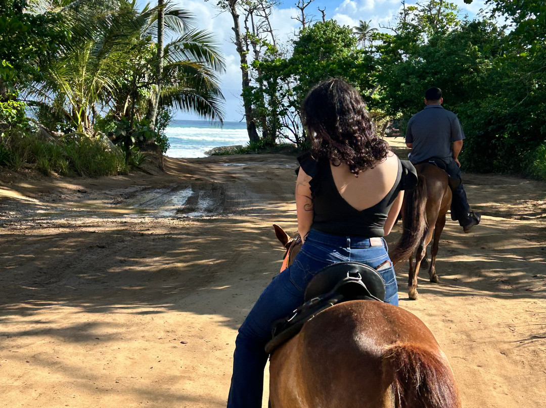 Playuelas Horse Rides-Aguadilla必去景点