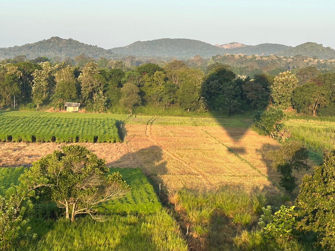 Sun Rise Ballooning-丹布拉必去景点