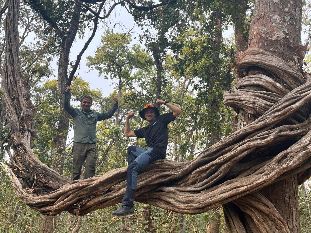 United Jungle Guide Service-奇旺国家公国必去景点