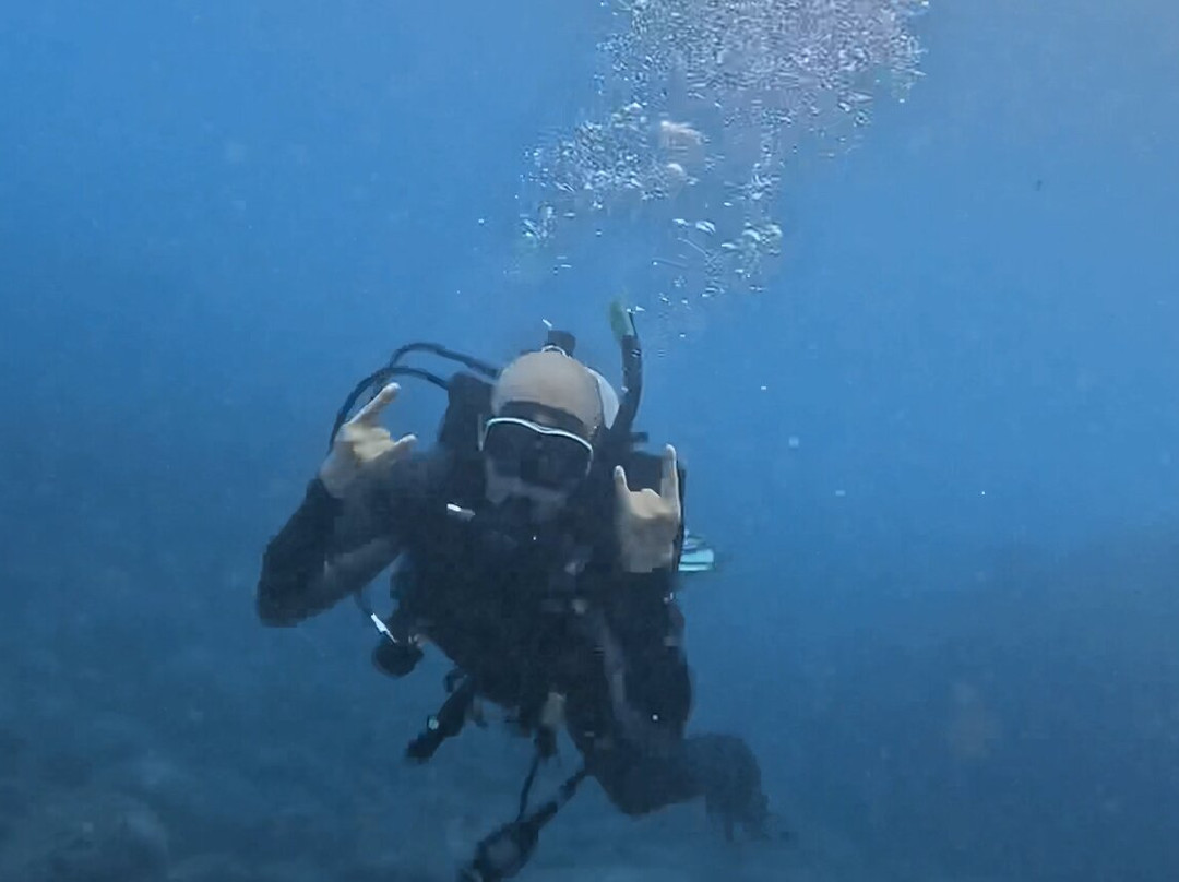 Sealion Dive Center-Los Mochis必去景点