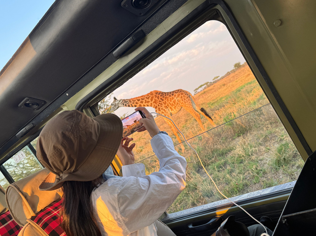 歌珊地非洲游猎之旅-阿鲁沙必去景点