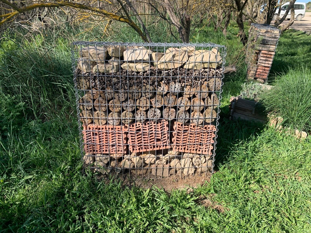 Reserva Natural de Sebes-Flix必去景点