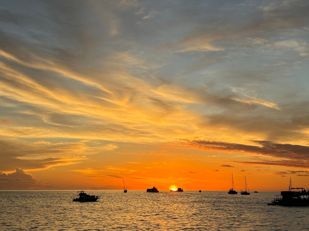 Primeirissima Turismo-费尔南多-迪诺罗尼亚群岛必去景点