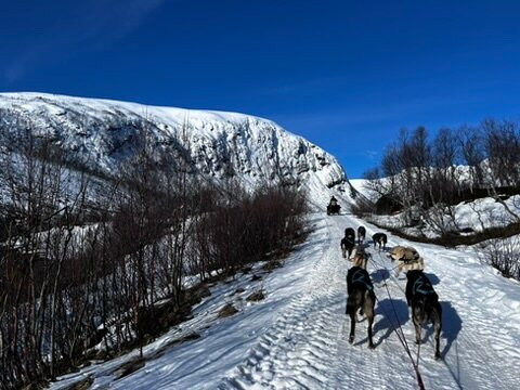 Kvaløya Husky-特罗姆瑟必去景点
