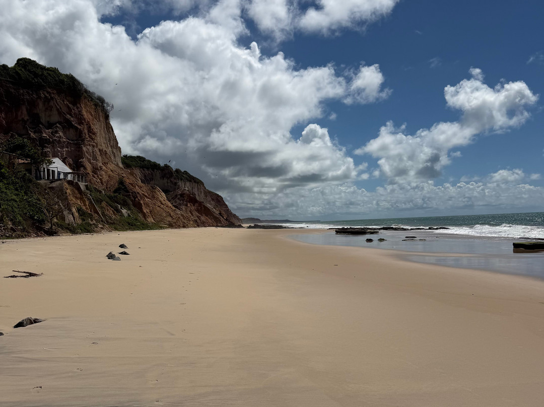 Aventura Eco Brasil-Barra de Sao Miguel必去景点