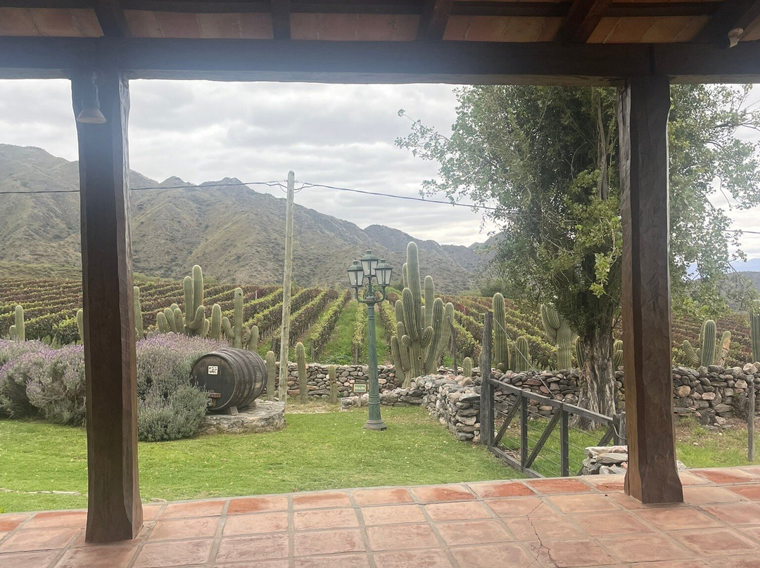 Bodega San Pedro de Yacochuya-卡法亚特必去景点