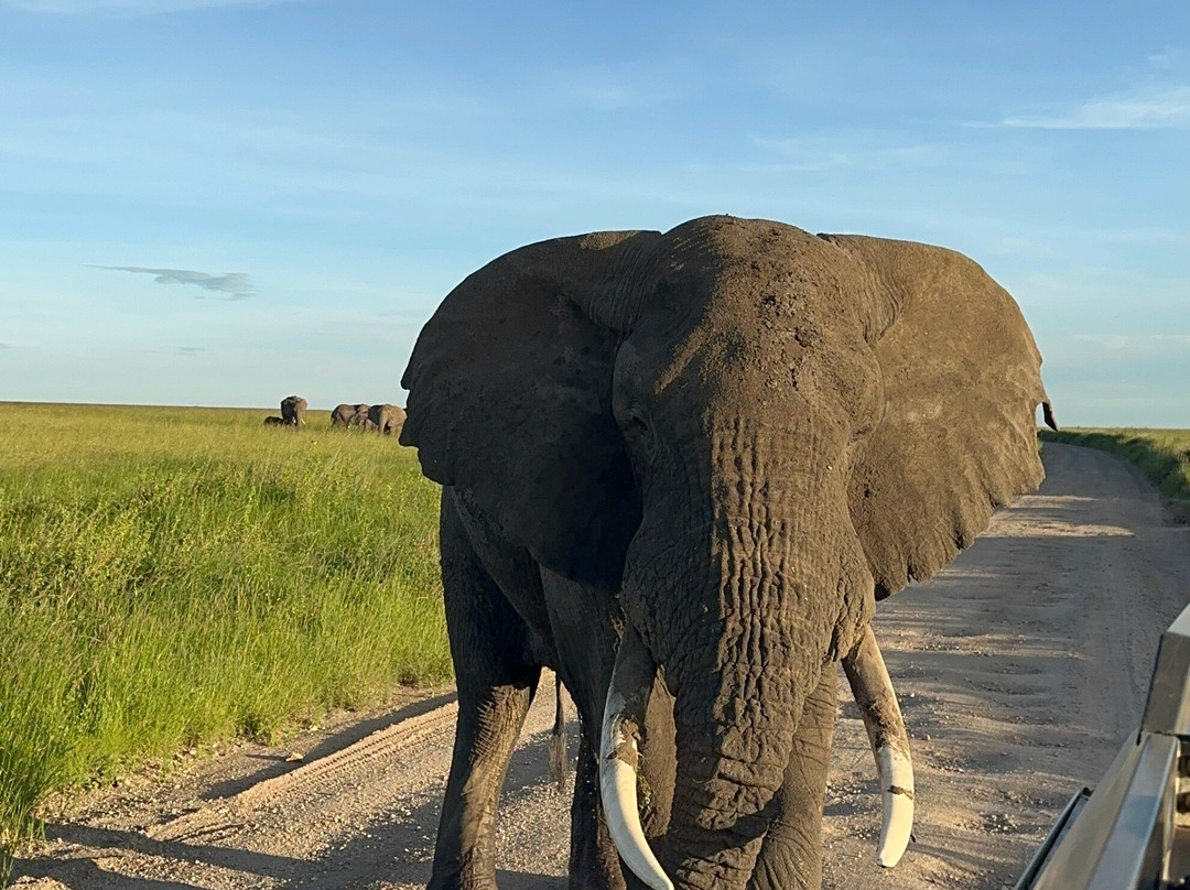 Tanzania Roadside Expeditions-阿鲁沙必去景点