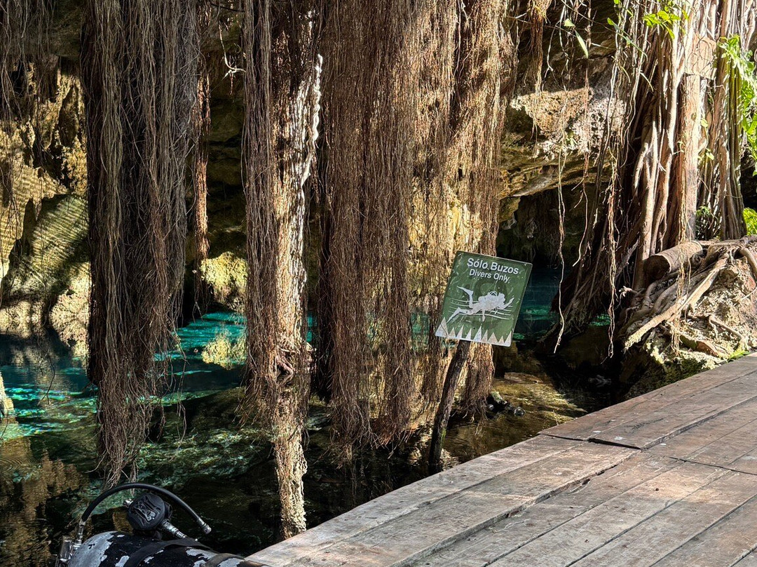 Pura Vida Diving-普拉亚德尔卡曼必去景点