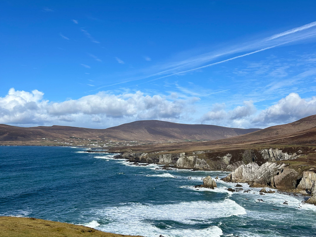 Explore With Spike-底特律必去景点