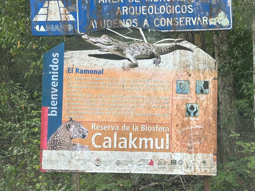 Reserva de la Biosfera de Calakmul-卡拉克穆尔必去景点