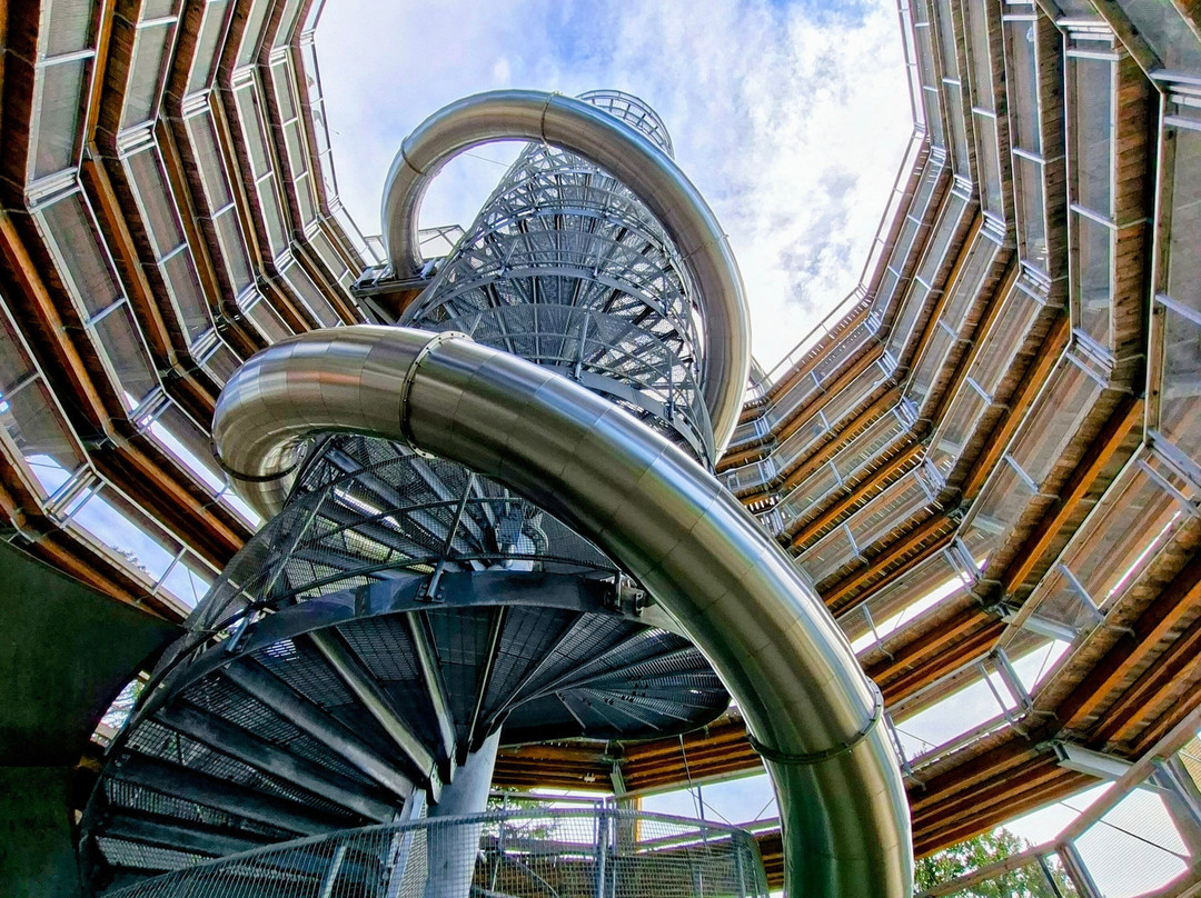 Malahat Skywalk-Malahat必去景点