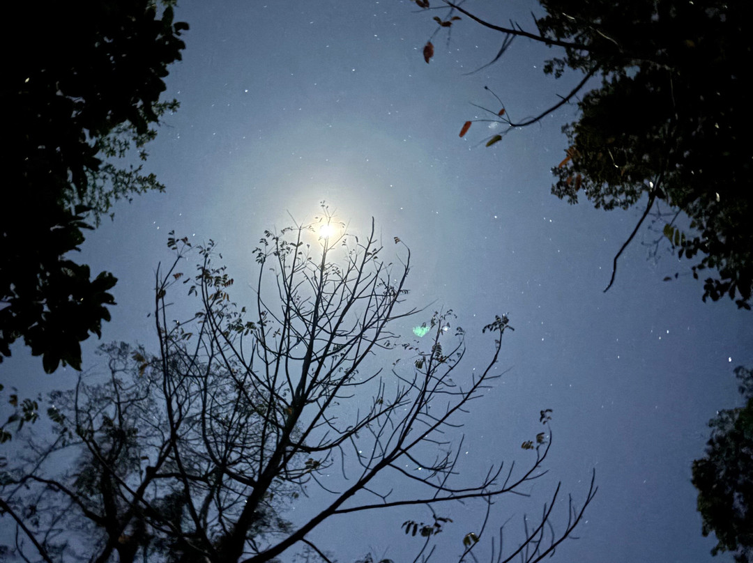 戈巴尔布尔公园区域酒店主图