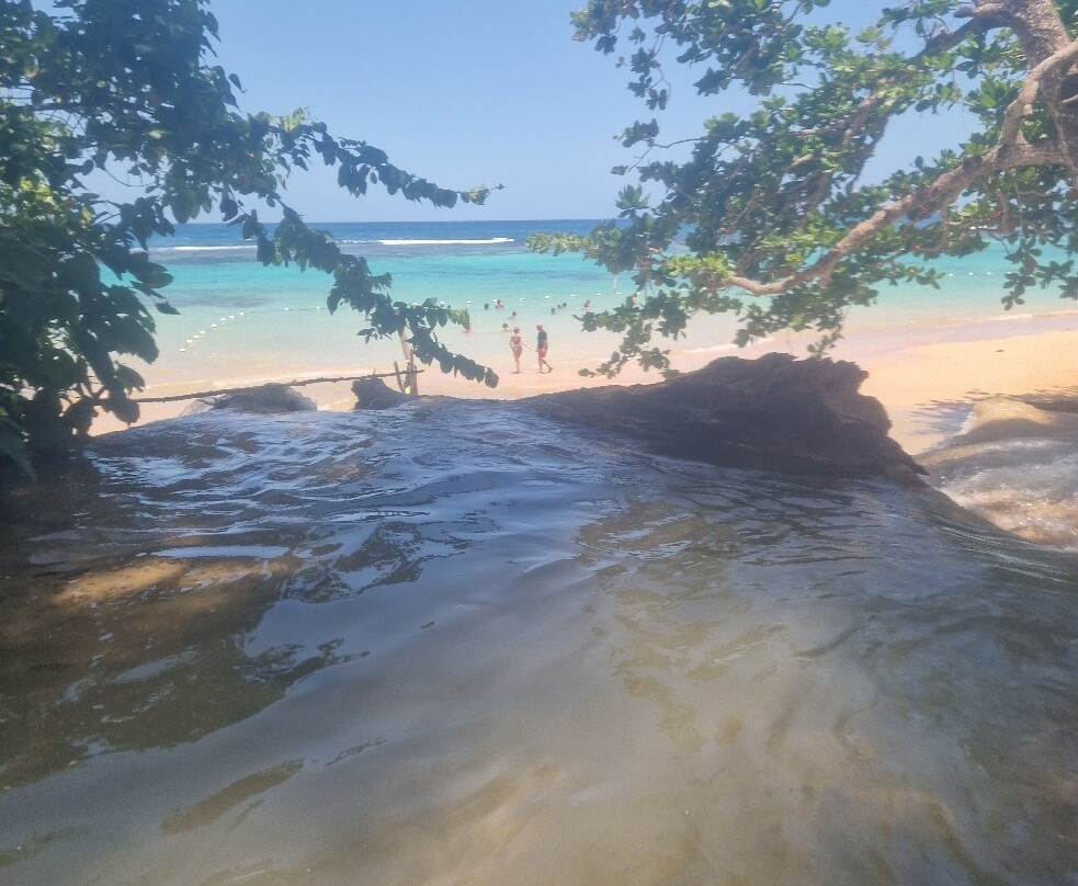 Dunn's River Falls and Park-奥乔里奥斯必去景点