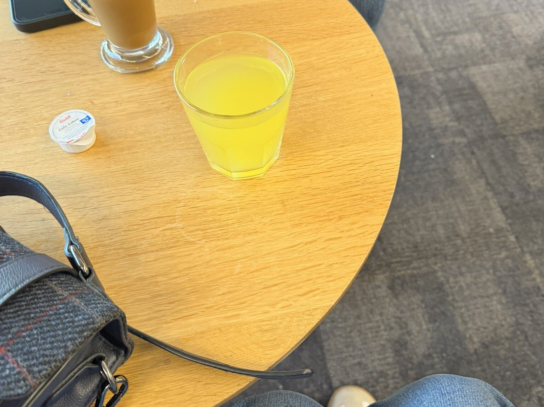 Plaza Premium Lounge (Non-Schengen Area, Departures, Mezzanine Floor, Terminal 2B)-布达佩斯必去景点