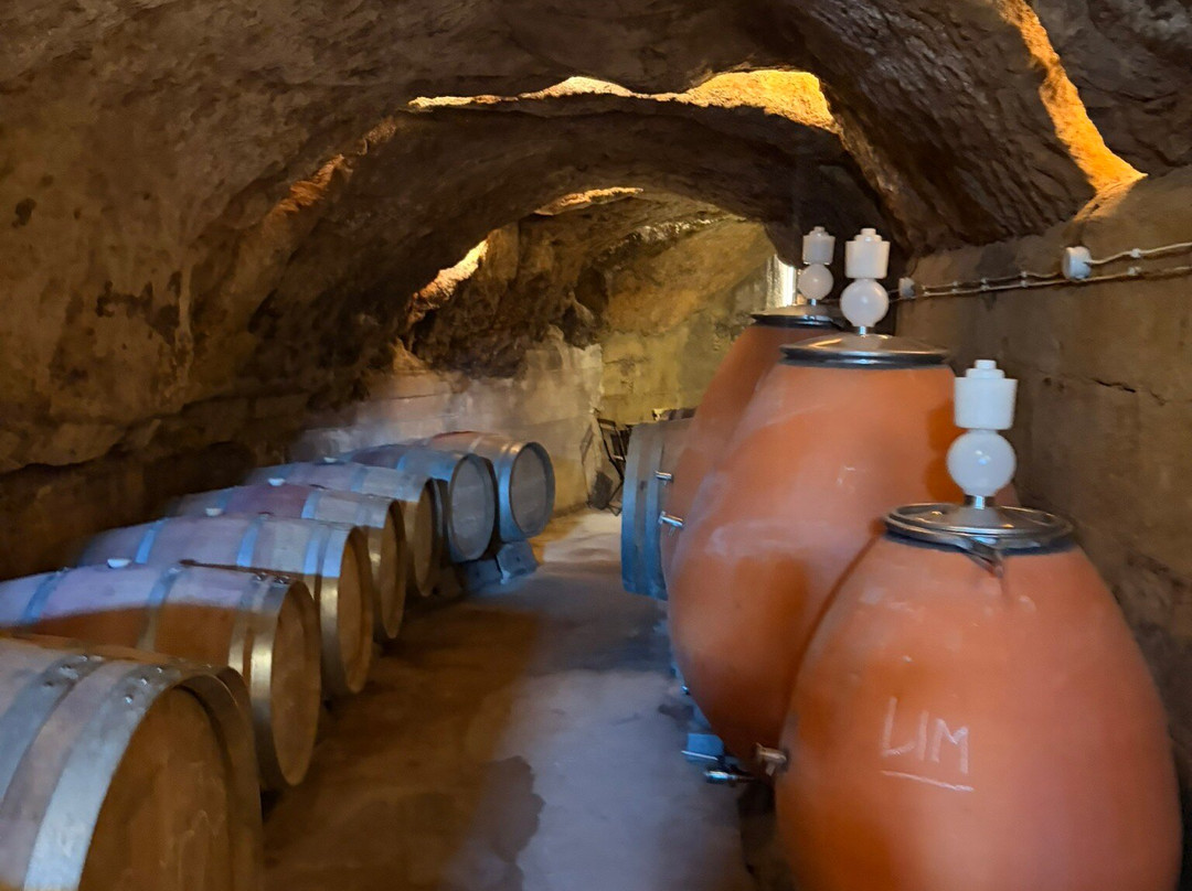 Bodega La Cueva del Castillo-Labastida必去景点