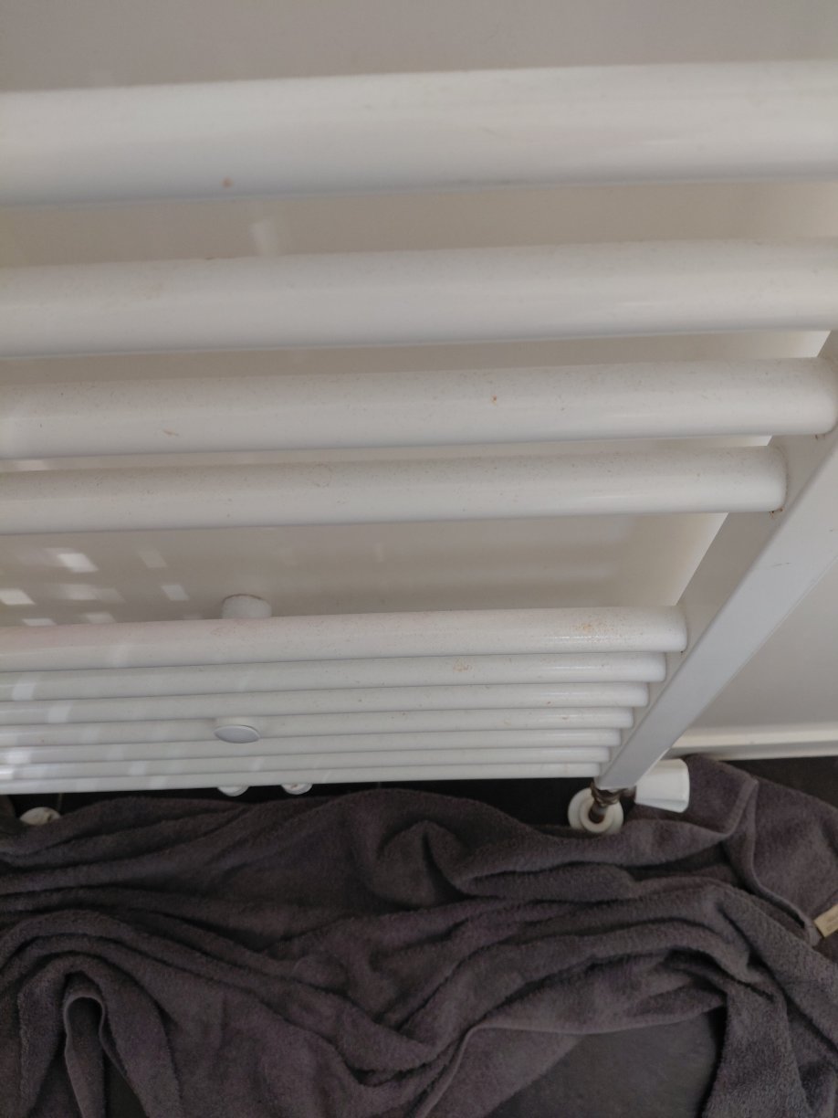 欧洲公园莫伦格鲁特-旅行者