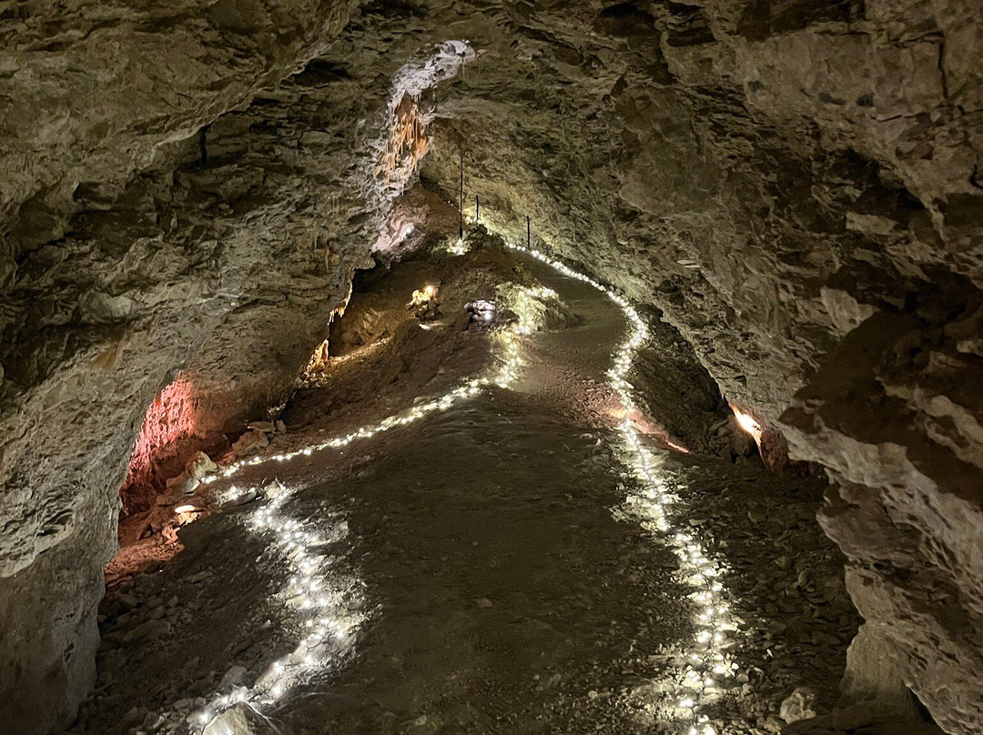 Kaikōura Cave Tours-Kaikoura必去景点