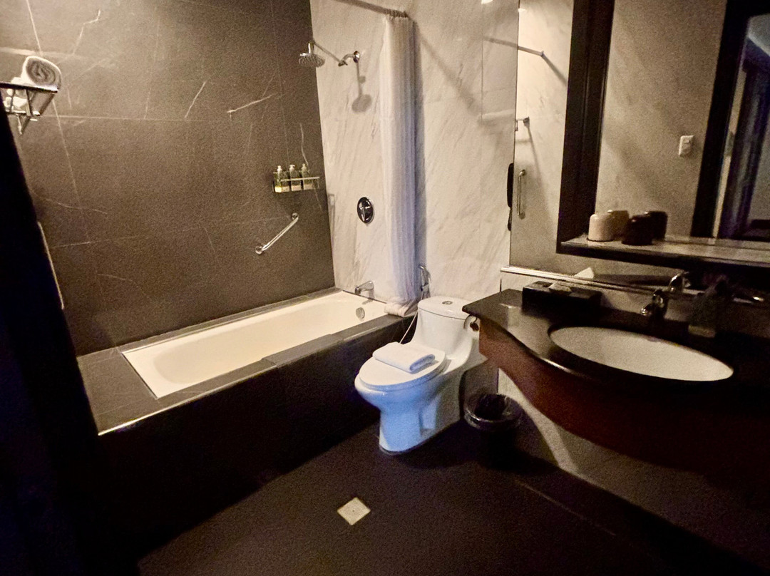 格林希尔斯埃兰现代酒店（新装修）主图
