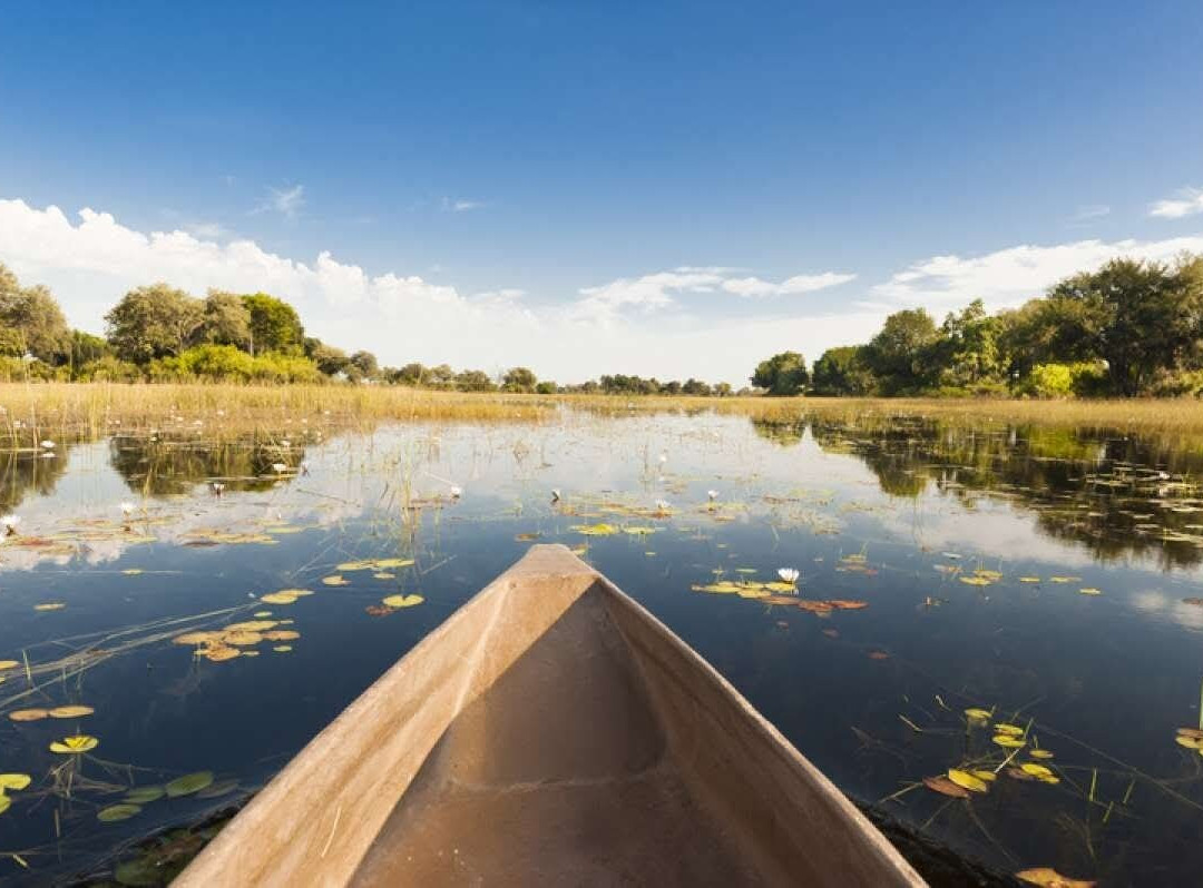 Okavango Delta-马翁必去景点