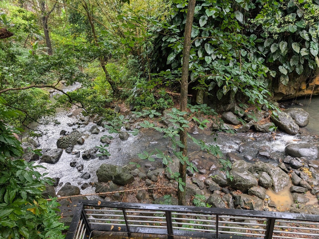 Annandale Falls-St. George's必去景点