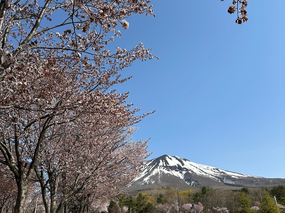 Mt. Iwaki-弘前市必去景点