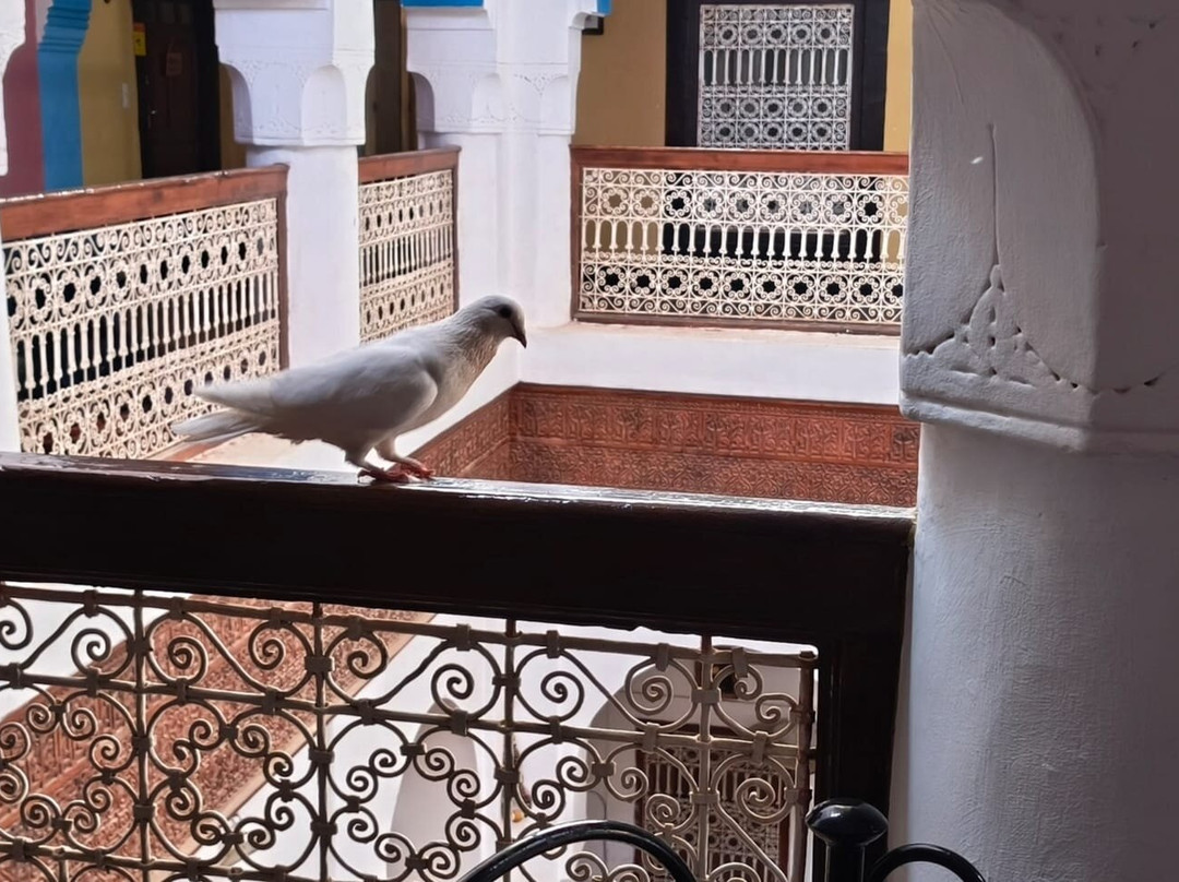Kasbah of Tifoultoute-瓦尔扎扎特必去景点
