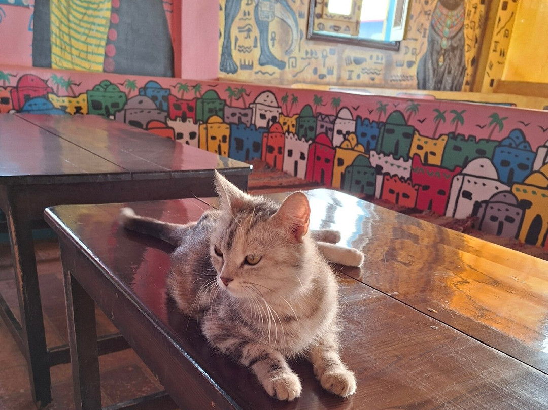 Sarab Coffee Shop