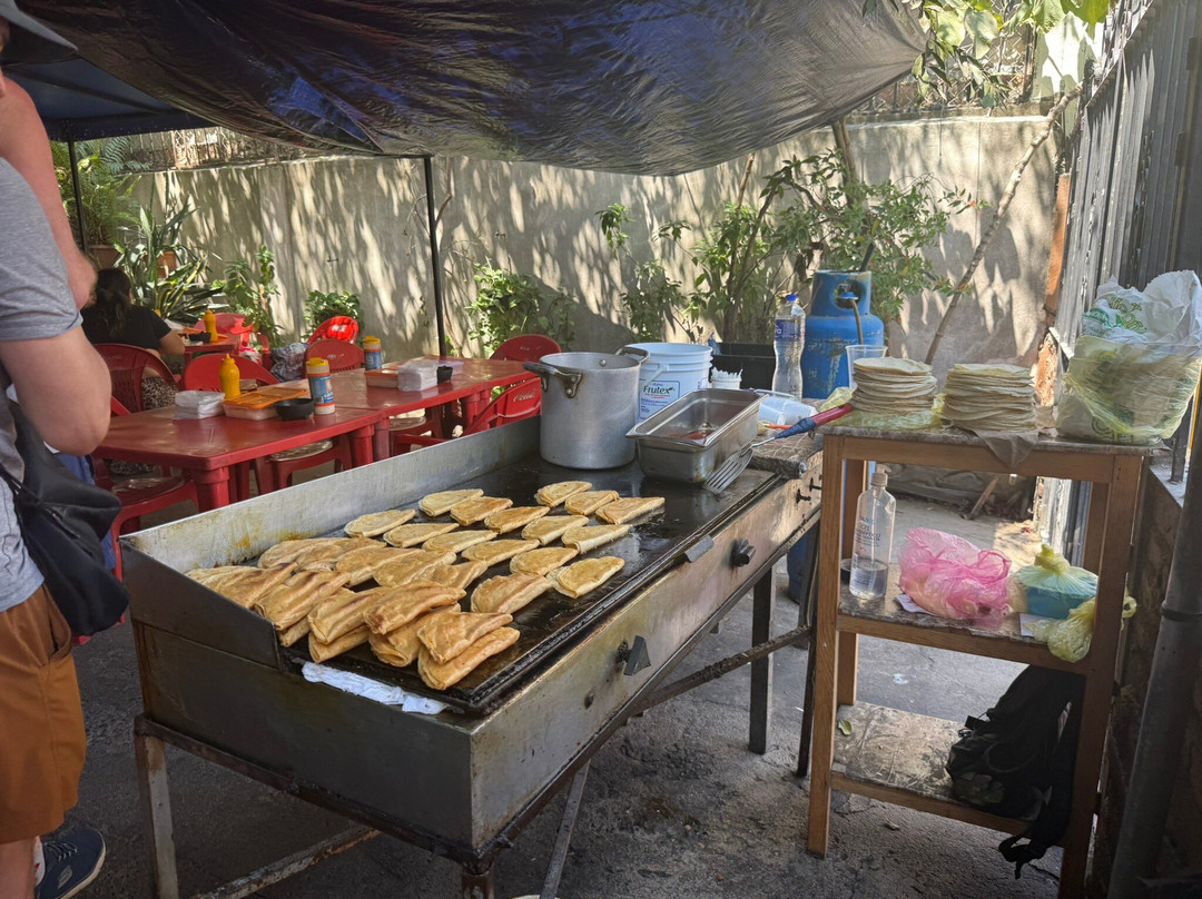 Vallarta Food Tours-瓦拉塔港必去景点