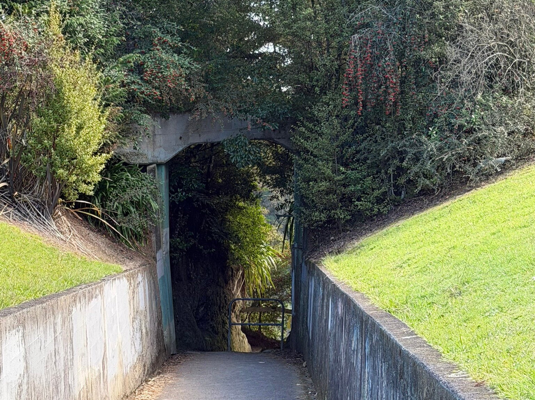Arapuni Swing Bridge-Arapuni必去景点