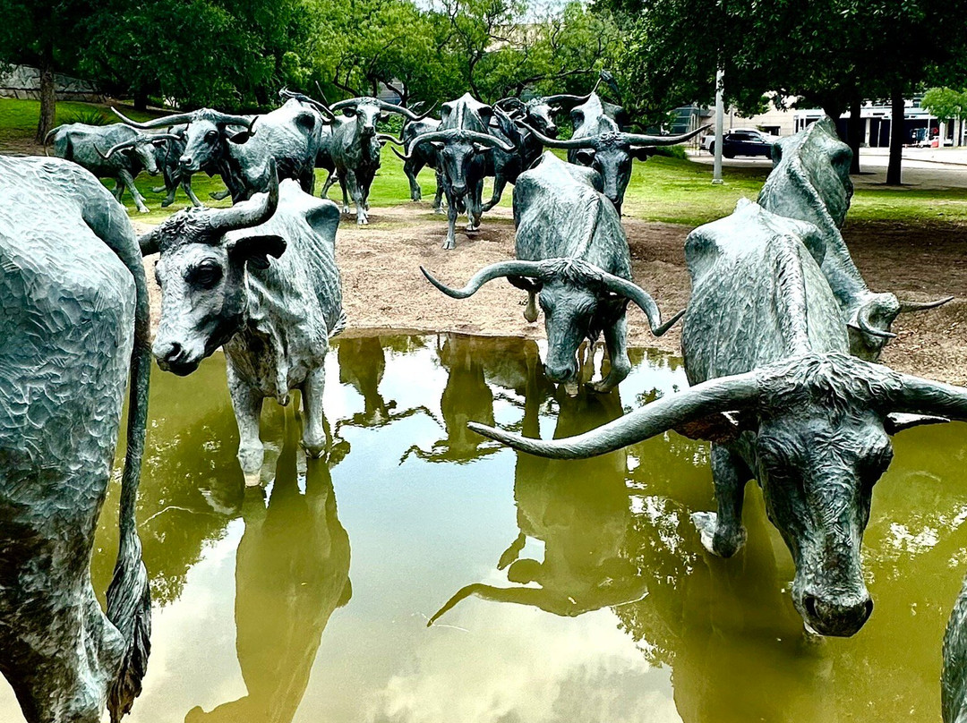 Dallas Cattle Drive Sculptures-达拉斯必去景点